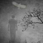 Мы мечемся от поисков с рождения